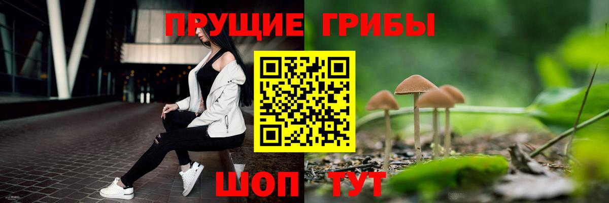 Галлюциногенные грибы GOLDEN TEACHER Первоуральск